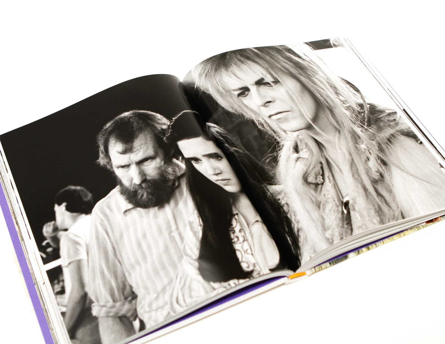 Book (Hardcover) - Labyrinth The Ultimate Visual History