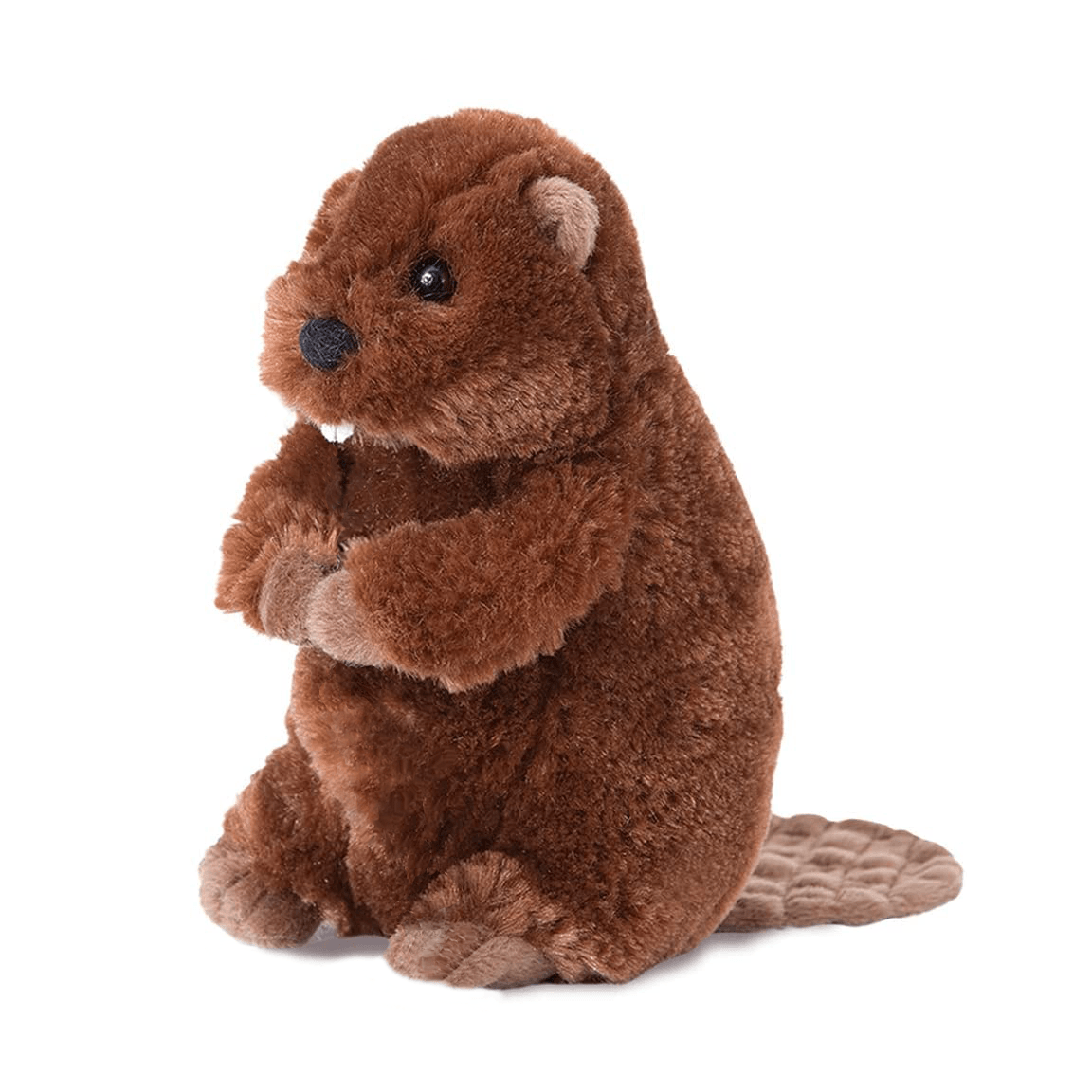 Stuffed Animal - Buddy Beaver