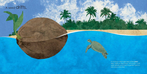 Book (Hardcover) - Seeds Move