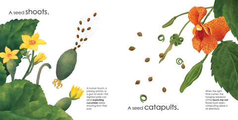 Book (Hardcover) - Seeds Move