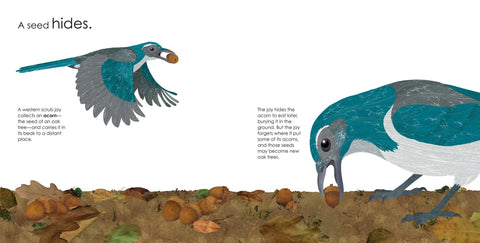 Book (Hardcover) - Seeds Move