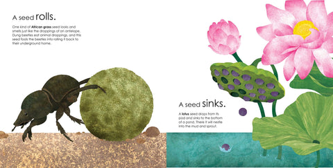 Book (Hardcover) - Seeds Move