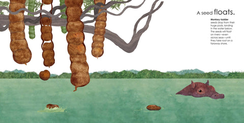 Book (Hardcover) - Seeds Move