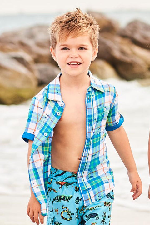 Last One: 3T - Button Down Tee (Short Sleeve) - Plaid Shark