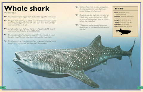 Book (Hardcover) - The Magnificent Book Of Sharks